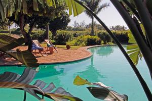 马普托Ancha's Oasis的一个带椅子的游泳池,并种植了棕榈树
