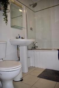 都柏林2 Bedroom Apartment Beside Merrion Square的浴室配有卫生间、盥洗盆和浴缸。