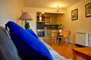 都柏林2 Bedroom Apartment Beside Merrion Square的客厅配有蓝色枕头的沙发