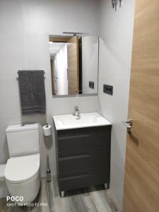卡瓦内斯Casa Rural Lavernia的一间带卫生间、水槽和镜子的浴室