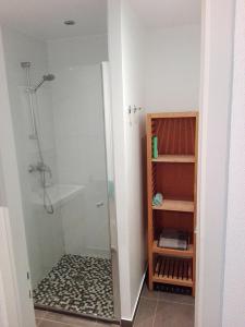 斯特拉斯堡Appartement Petite France avec terrasse的带淋浴和步入式淋浴间的浴室