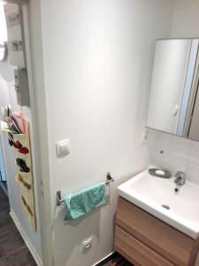 斯特拉斯堡Appartement Petite France avec terrasse的一间带水槽和镜子的浴室