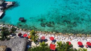 威利布罗德Coral Estate Luxury Resort的享有海滩的空中景致,配有椅子和遮阳伞