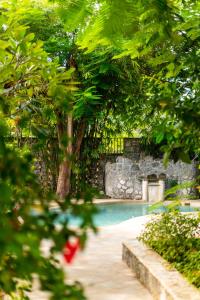吉汶瓦姆维精品度假村的一座拥有石墙和树木的游泳池