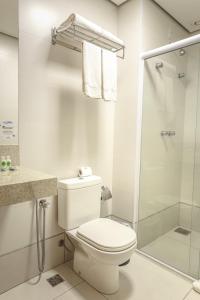 蒙蒂斯克拉鲁斯Dubai Suites的白色的浴室设有卫生间和淋浴。
