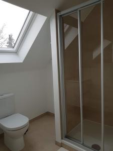 布鲁塞尔MAISON DES FLEURS的一间带卫生间和窗户的浴室