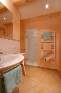 平茨高谷地霍勒尔斯巴赫新房公寓的一间带水槽和淋浴的浴室