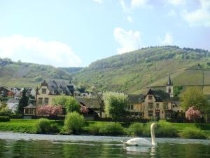 赖尔梅尔斯海默别墅精品酒店的村前水中的天鹅