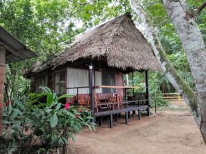 马尔多纳多港塔波帕塔河住宿加早餐旅馆的一个带长凳和茅草屋顶的小小屋
