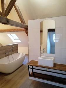 比林根de ploeg luxe的带浴缸、水槽和镜子的浴室