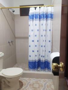 比亚米尔港Hostal Los Flamencos的浴室设有卫生间和蓝白色的浴帘。