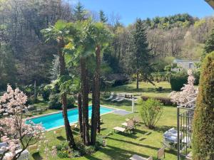 洛索内西厄斯塔公园加尼别墅酒店的一个带游泳池和棕榈树的花园