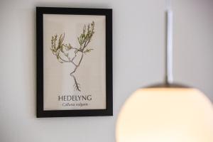 NymindegabLindvig - Ferie i naturen的灯边的花框图