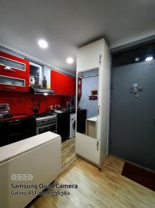 博尔若米Apart-otel Nino的一间厨房,里面设有红色的墙壁和一扇门