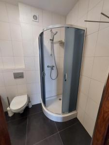 托伦Nowoczesny apartament w zacisznym sercu Torunia.的带淋浴和卫生间的浴室