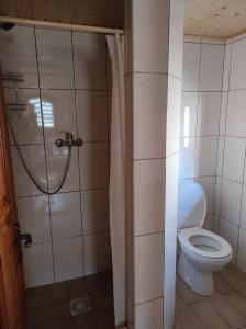 科洛恰瓦Садиба під Чертежиком 2的带淋浴和卫生间的浴室