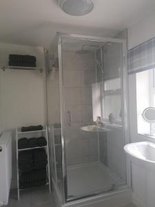 威德尼斯Chota Gher Apartment的浴室里设有玻璃门淋浴