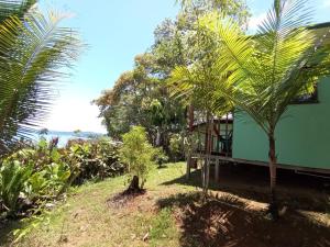 德雷克Casa Jade的一座绿屋,前面有棕榈树
