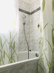 维勒斯威特Eifel-House - FeWo的带淋浴和浴帘的浴室