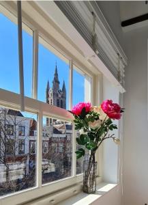 代尔夫特Appartement Mes Amis Delft的窗台上装有粉红色花朵的花瓶