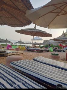 沙姆沙伊赫Studio的海滩上的一组沙滩椅和遮阳伞