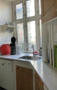 哥本哈根哥本哈根510公寓的带水槽的厨房台面和窗户