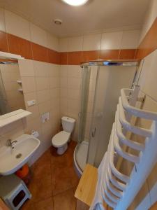 科乌切沃Apartamenty Kołczewo的一间带水槽、卫生间和楼梯的浴室
