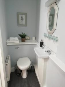 哈佛威斯特教区农场住宿加早餐旅馆的白色的浴室设有卫生间和水槽。