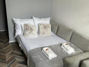 卡托维兹Apartment Katowice Center-1的一张带两个枕头的沙发以及两张毛巾