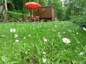 WildbergBienenwagen der Naturheilpraxis Melchger的花草中的红伞