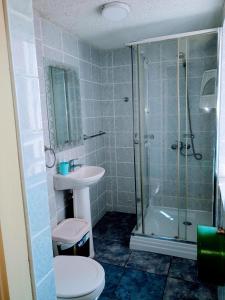 拉塞雷纳Hostal Mi Maravilla的带淋浴、卫生间和盥洗盆的浴室