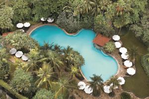 泗水Shangri-la Surabaya的棕榈树度假村泳池的空中景致