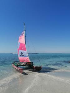 Al QārinMasirah Beach camp的一艘小帆船坐在海滩上
