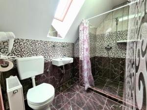 海吉克Székely-Lak Apartman Hegykő的浴室配有卫生间、盥洗盆和淋浴。