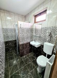 海吉克Székely-Lak Apartman Hegykő的一间带卫生间和水槽的浴室