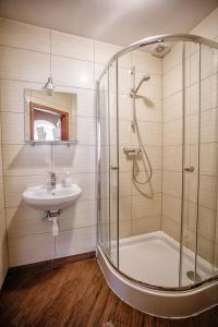 利沃夫Guest House "Arkhistratyg"的带淋浴和盥洗盆的浴室