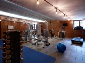 维蒂纳Art Mainalon Hotel的健身房设有健身器材和蓝球