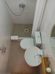 卡拉科尔Matsunoki的浴室配有白色卫生间和盥洗盆。