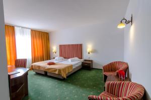 丰达塔Cheile Gradistei Fundata Resort的酒店客房,配有一张床和两把椅子