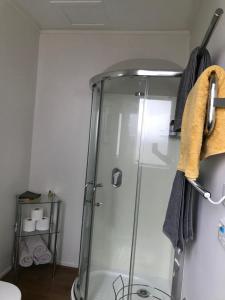 新普利茅斯Fitzroy Gem的浴室设有淋浴间和毛巾