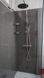 圣阿古斯丁MIRADOR RED MASPALOMAS的浴室内配有淋浴和头顶淋浴