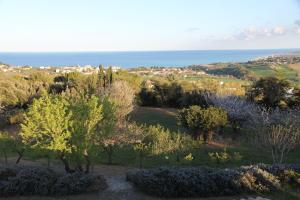 锡罗洛Villa Panorama Sirolo的享有树木和海洋的田野景色
