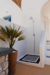 莫诺利索斯The Z Private Villa, Santorini的带淋浴和盆栽的浴室
