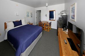 圣伊尼亚斯Aurora Borealis的一间卧室配有一张床和一台平面电视