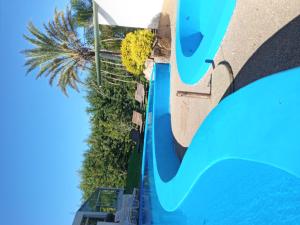 特玛斯德戴曼拉波斯达戴曼酒店的享有游泳池的顶部景色,游泳池拥有棕榈树