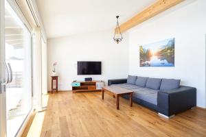 InnerschwandBergblick Acht Mondsee的客厅配有蓝色的沙发和电视
