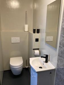多德雷赫特Sheepyhead的浴室配有白色卫生间和盥洗盆。