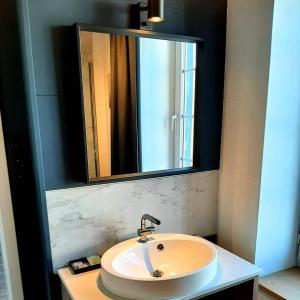 胡法利兹Renée Cense的浴室水槽和上面的大镜子