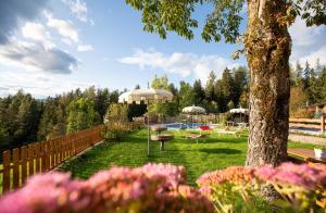 修希Hotel Profanter的一个带游泳池和树的庭院