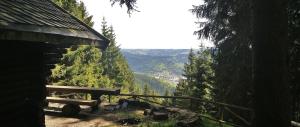 施泰纳赫Ferienwohnung Klaus im Tal der Steinach的坐在山顶的木凳
